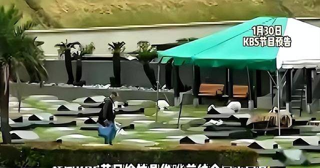 倒计时1天，小玥儿小菻菻仍在京，具俊晔为大S雕像揭幕礼现身韩综相关配图