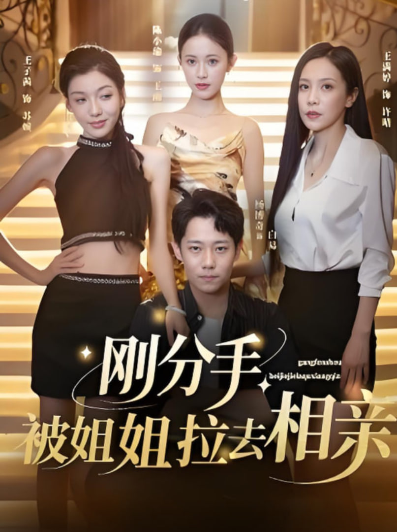 刚分手被姐姐拉去相亲（分手被姐姐拉去相亲）