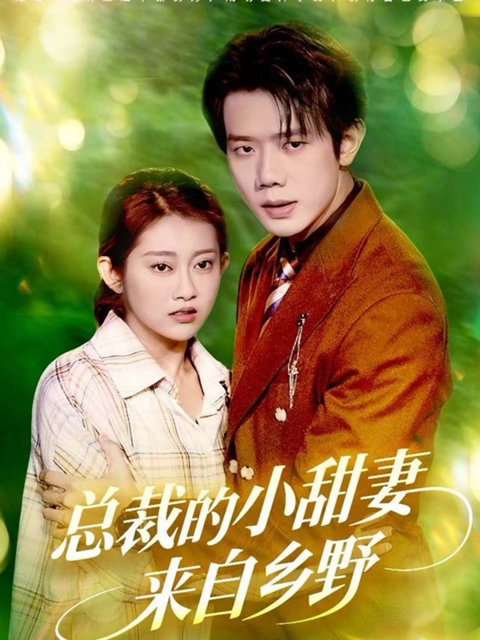 总裁的小甜妻来自乡野