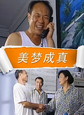 美梦成真2009