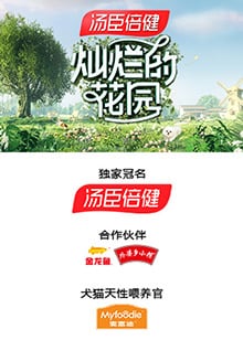 灿烂的花园 奇遇记