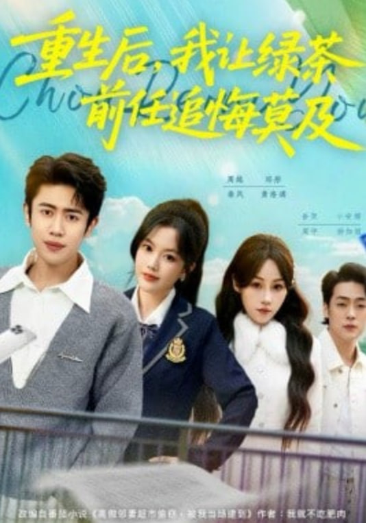 重生后,我让绿茶前任追悔莫及