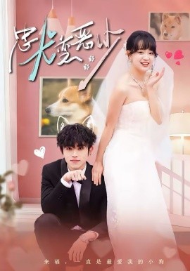 惊！我家来福变恶少了（忠犬变恶少）