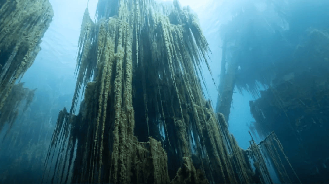 声起地平线第八期：采风阿拉木图 解锁“苹果之城”多元魅力相关配图