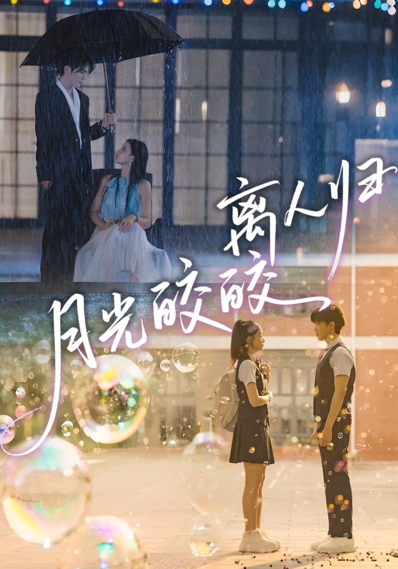 月光皎皎离人归