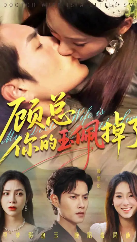 顾总你的玉佩掉了（医女老婆有点甜）