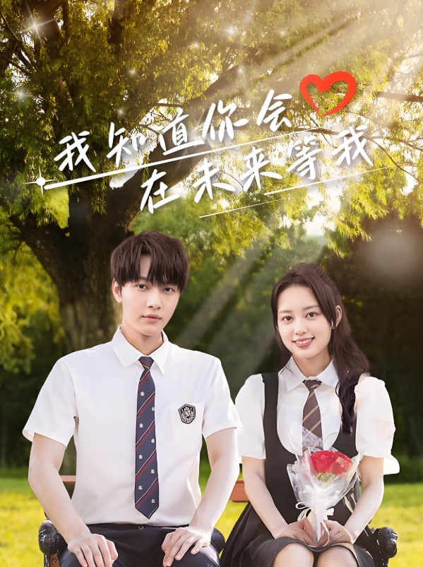 我知道你会在未来等我