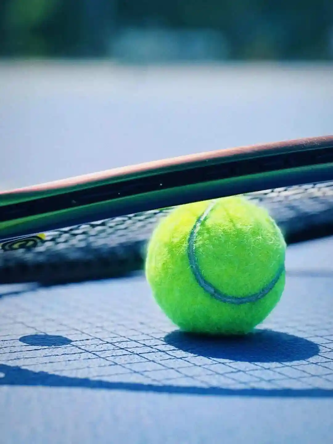 WTA阿布扎比站第五日:陶森VS凯斯勒