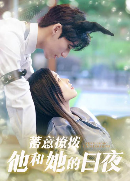 蓄意撩拨他和她的日夜