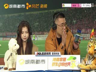 湖南省足球联赛 常德队VS怀化队 20251031